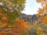 令和元年风雨中追枫之旅|阿寒湖|层云峡|旭川|美瑛|札幌|小樽