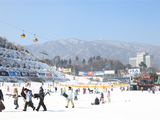 日本升龙道，小众优质的滑雪圣地！
