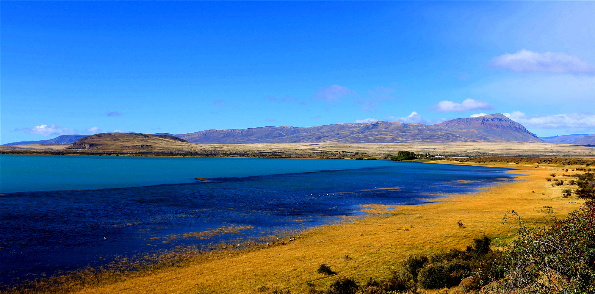 游世界 感悟人文精神 40天南美洲 大洋洲 地中海之旅 山人游记27 南美 南极 新西兰 环游欧洲 论坛 穷游网