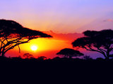 一旦爱上狂野和自由，便不能自拔---二进狂野非洲，我的肯尼亚之行（附转机迪拜游玩照）