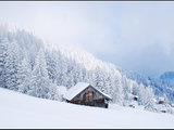 冬季到瑞士来看雪-纯美雪山小镇温泉之旅-主要行程已完成