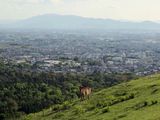 【行乐47】撇开小鹿和古寺，奈良还有好玩的地方吗？