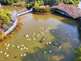 广州周边游来这里，带孩子看水鸟吃疍家美食