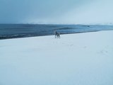 12月初冬俄罗斯丨飞驰于冰雪之间追光-结朋出游（防踩坑指南）