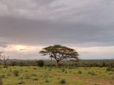 走进非洲——肯尼亚之行