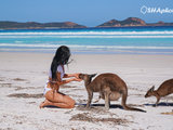 #我们的侣行#澳洲~~我就来看看海(悉尼、大堡礁、大洋路、壮丽西澳自驾南北行)
