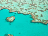 上天入海“昆式蓝” 从“心”发现大堡礁 圣灵群岛真的灵