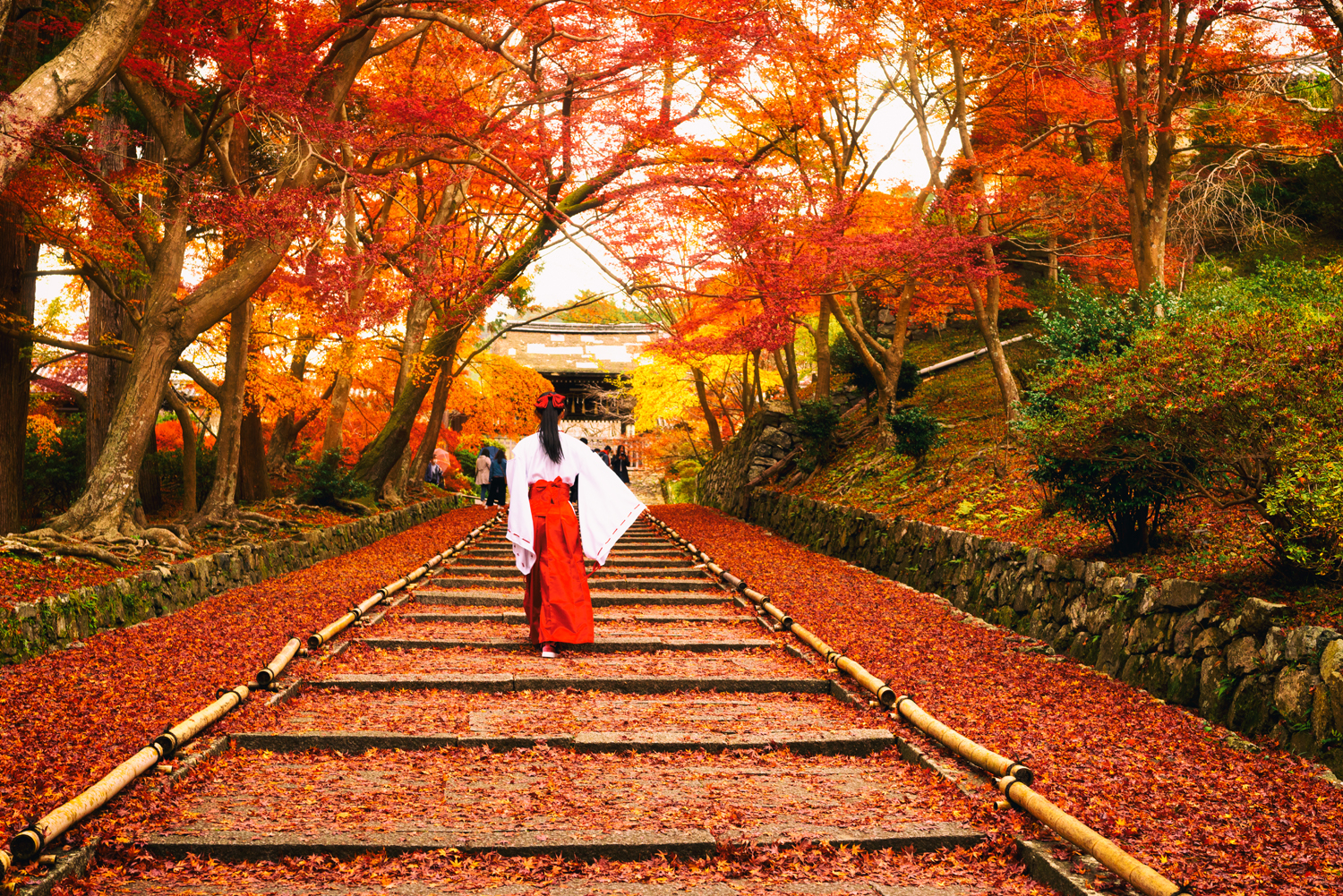 艳照看世界 跟着摄影师去探寻令和最初的红叶狩 19秋季8日京都追枫 经典 小众poi拍摄建议 日本 旅行摄影 环游亚洲 论坛