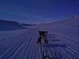 世界之北 Svalbard游记