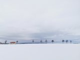 流冰之旅-日本再出发东北海道の旅行（札幌、旭川、阿寒、知床、钏路、小樽）--已完结