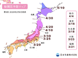 2020日本樱花开花预测图出来了 有去赏樱的一定要看看