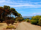 忘不了的袋鼠岛，最宜居的阿德莱德---（2020年1月春节澳洲8日亲子游）