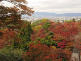 JOLINA & JOVI : [京都秋祭] —— 赏枫、品茗、庭院之遐游