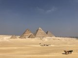 青白尼罗育埃及，千年繁华赋黄沙-14天埃及全境自由行