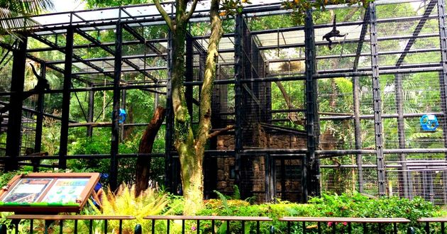 香港动植物公园旅游图片香港动植物公园旅游景点图片香港动植物公园自助游照片 穷游网 移动版