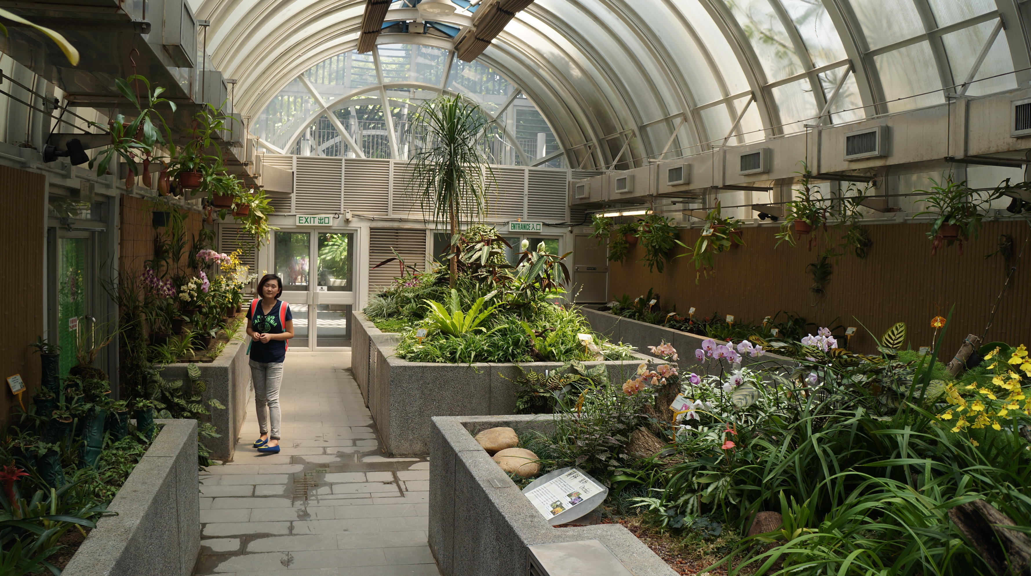 香港动植物公园旅游图片香港动植物公园旅游景点图片香港动植物公园自助游照片 穷游网 移动版