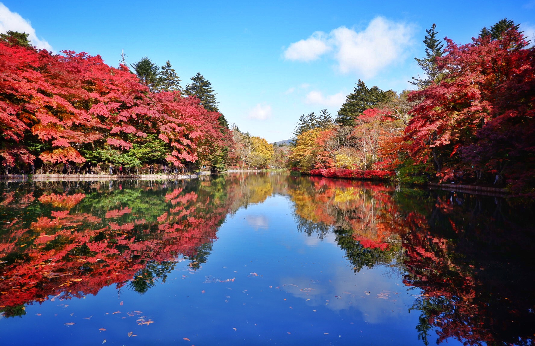 時光惊艳了眼眸 葉色流动の山中故事 中山道 松本 茅野 上高地 新穗高 平湯 高山 白川 冈崎 名花之里 名古屋 日本 旅行摄影