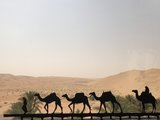 走，我们去迪拜挖沙去~~~“跳跳欢游记”之一千零一夜——迪拜（2019国庆，迪拜、阿布扎比、安纳塔拉、古堡酒店）