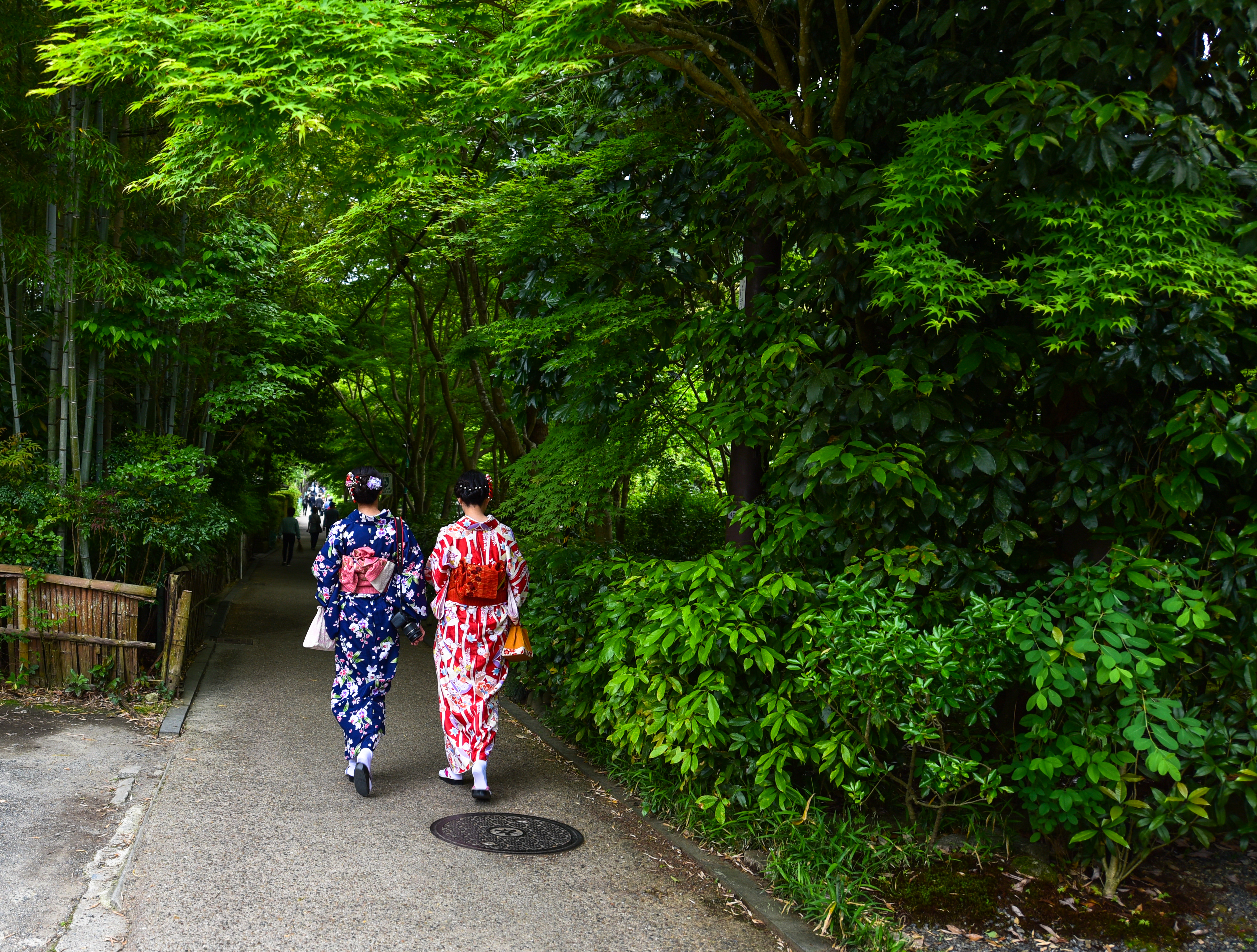 一人暴走日本的15天 东京 大阪 奈良 京都 宇治 走断腿的日本初体验 日本 旅行摄影 论坛 穷游网