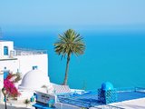 最有爱的北非国度—突尼斯（「非洲青年」间隔年行记-2）