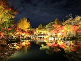 醉美红叶季遇见京都的寺院庭园(详细攻略/名园欣赏)