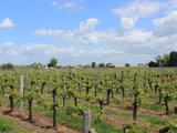 五月，去波尔多Bordeaux溜达溜达【含Arcachon & Pilat大沙丘 + Saint-Emilion酒庄】