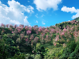 滇西漫游记-大理，诺邓古村，老姆登，知子罗，丙中洛，独龙江，银杏村，和顺古镇，无量山12天之旅