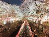 日本七日—从关东到关西 （东京、箱根、京都、奈良、大阪）