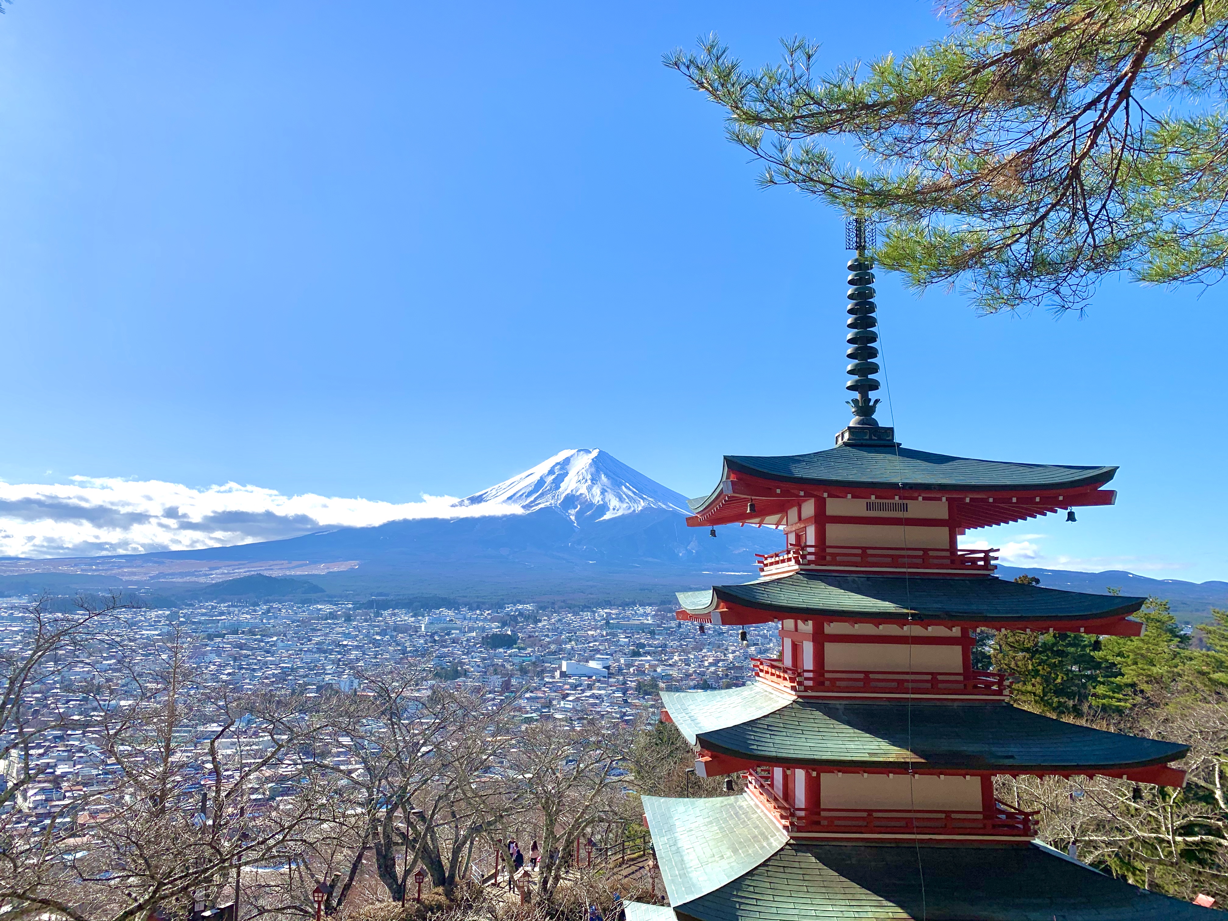 19年末7天日本家庭游 大阪 京都 富士山 东京 日本 旅行购物 旅行摄影 论坛 穷游网