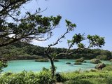 冲绳是潜水胜地 更是浮潜胜地　 秘境海滩GET-离岛篇