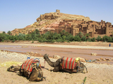 4天游从马拉喀什到非斯经撒哈拉沙漠