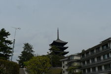 关西周游卡 KANSAI THRU PASS