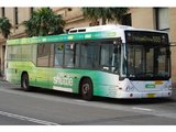 悉尼市区的 555 路免费穿梭巴士已取消