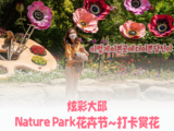 韩国大邱适合约会游玩场所推荐—NaturePark