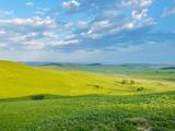 野小孩游记丨有一种夏天的颜色叫草原绿，乌兰布统三日游