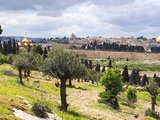 耶路撒冷 (15)橄榄山, 圣母玛丽亚之墓，金门