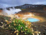冰岛2012年秋季，露营车环岛（两星期：1号路经典路线+Vatnsnes半岛+Kirkjufell草帽山）