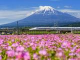 盘点日本三大豪华列车，您种草了哪一个？