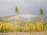 在挪威的森林里看见彩虹