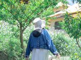 来一场山野治愈之旅，登高露营，和爱的人一起看星辰赏日出