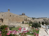 以约圣地游·以色列（12）约旦过境来到耶路撒冷