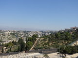 以约圣地游·以色列（13）在橄榄山上远眺圣城