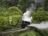 川串记（成都、罗城、嘉阳小火车、乐山、峨眉山、三星堆8日逛吃慢时光）