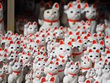 位于东京的「豪德寺」，以拥有众多招财猫而闻名。