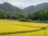 三江奔流，灵山秀木-浙江宁波、临海、天台、温州7日公共交通自由行游记