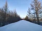 冰天雪地，极寒探北—漠河哈尔滨之旅