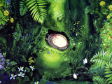 跟着宫崎骏动漫游日本----龙猫森林