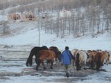 Mongolia丨疫情后的单人旅行：乌兰巴托的雪和夜