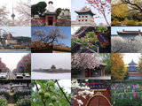 寒来暑往，春去秋来，用相机定格2022年北京的四季