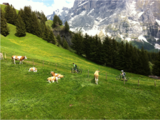 瑞士徒步之旅—迟到多年的游记（系列之三）